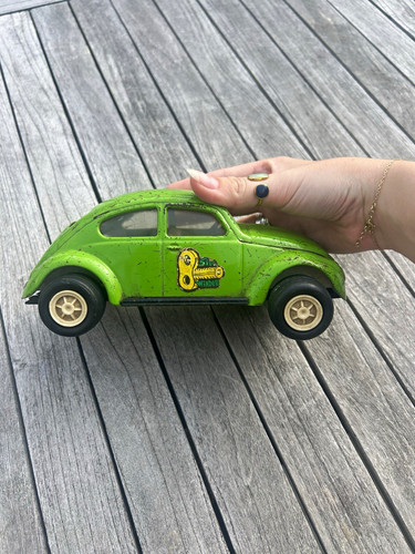 Tonka side winder beetle - tonka,